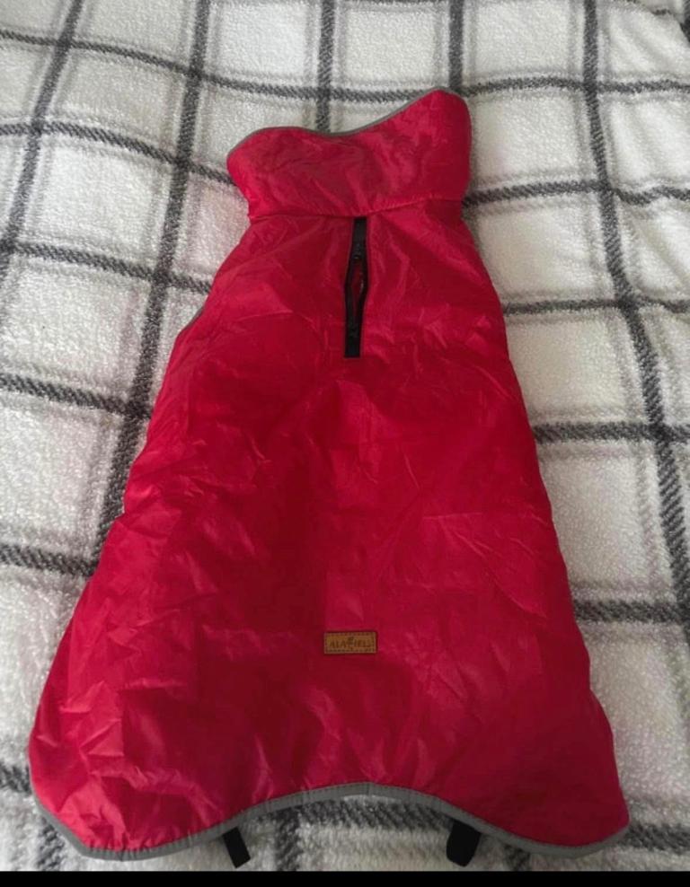Dog Coat - size large - £20