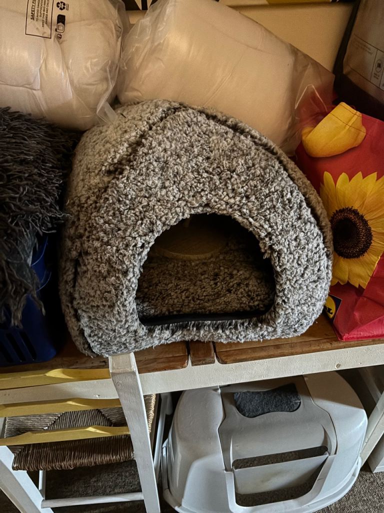 Cat igloo