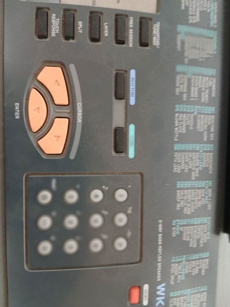 Casio Electric Keyboard