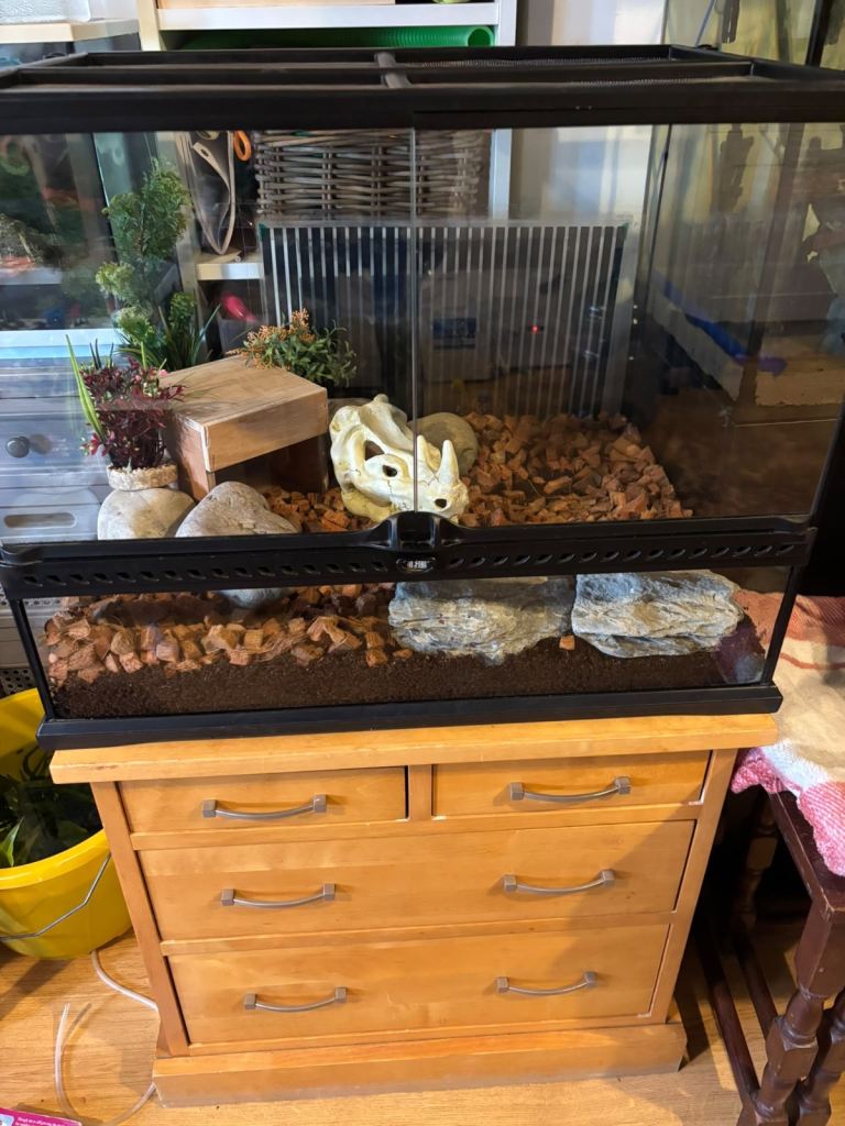 Exotera vivarium and unit 