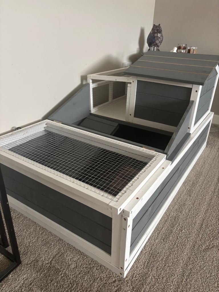 Tortoise house 