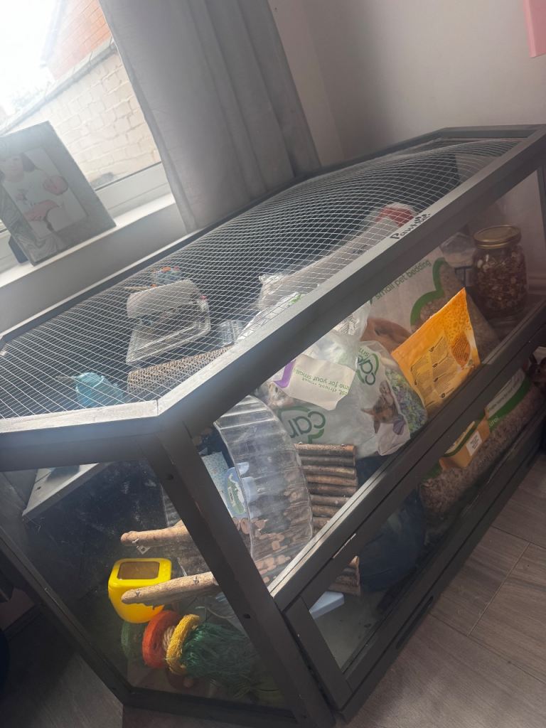 Hamster cage and accessories 