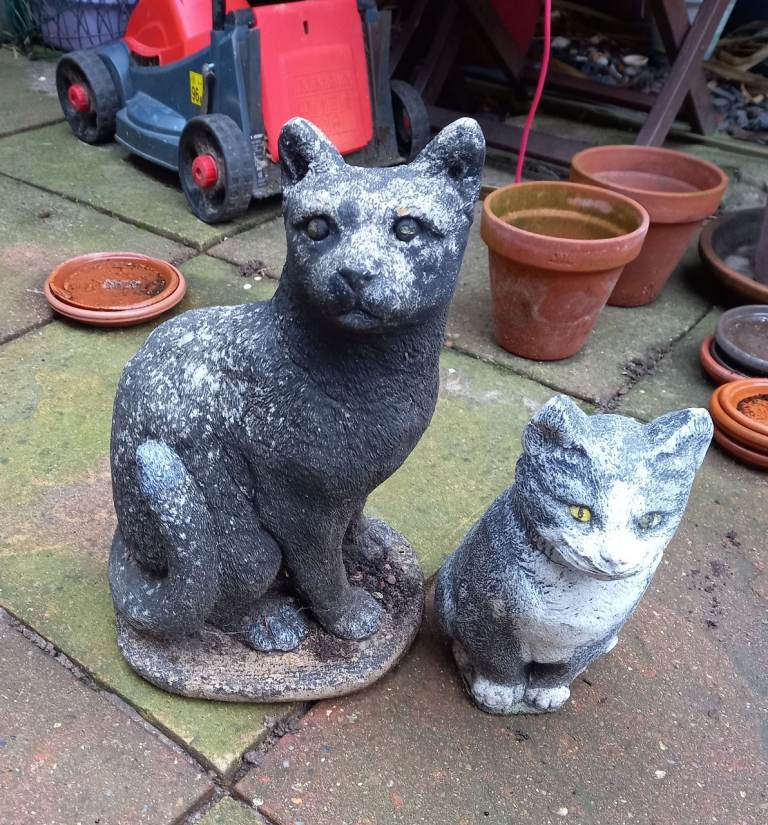 image for Concrete cats 