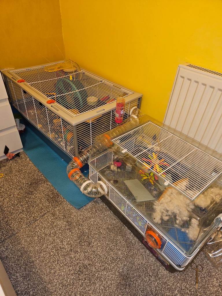 Hamster cages