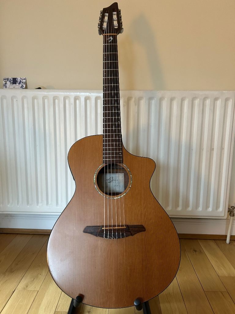 Breedlove AN250/CR