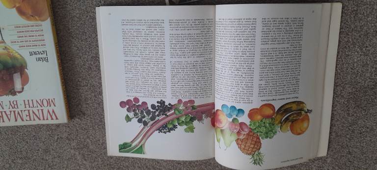 image for Wine making 