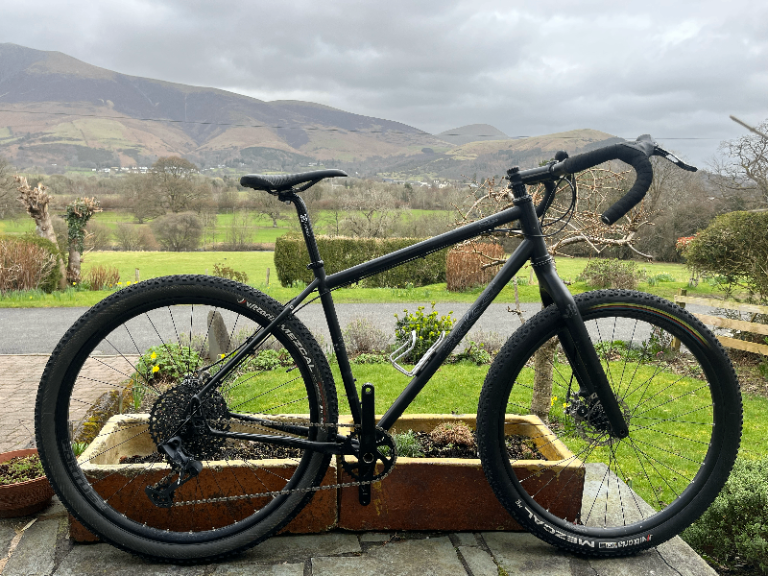 Salsa Fargo Steel Large Custom Build