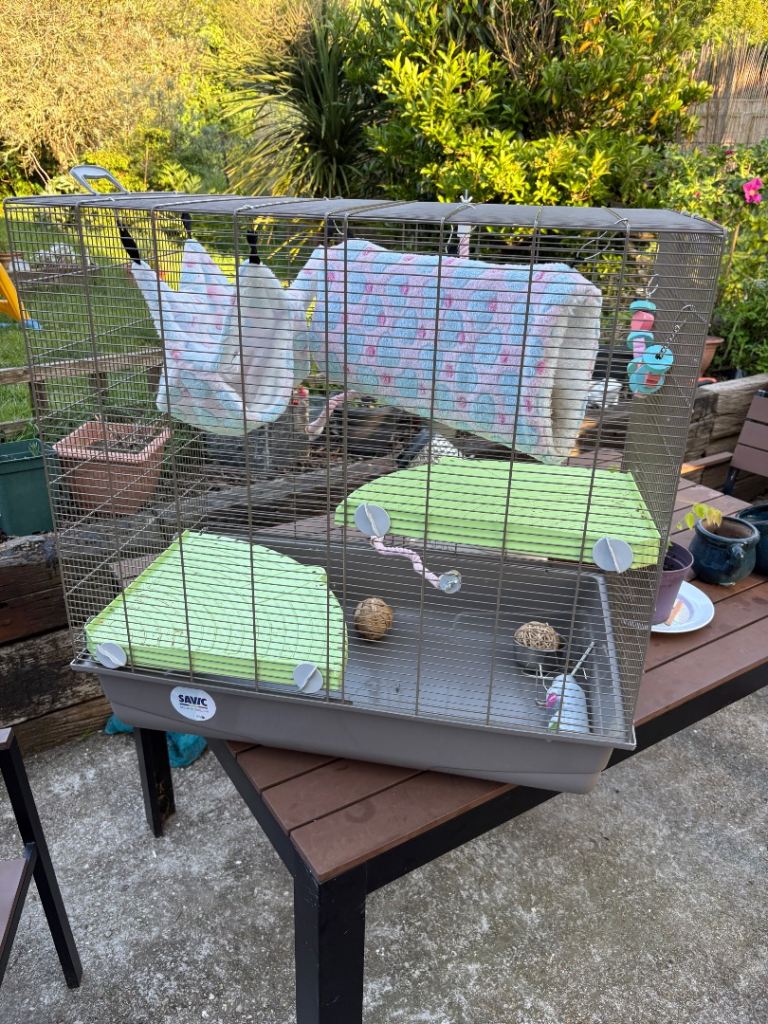 Chinchilla Cage 