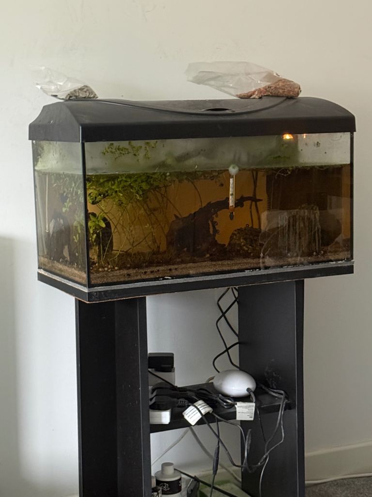 Collection only - DIVERSA Set Aquarium with Lid & Stand – 54L 