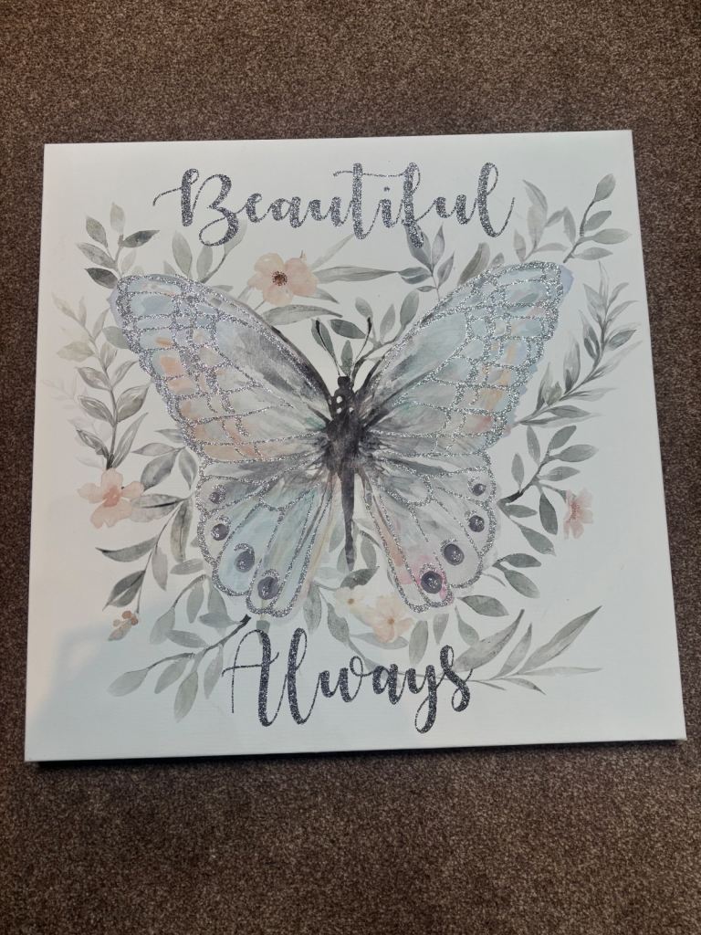 Butterfly wall art canvas in excellent condition