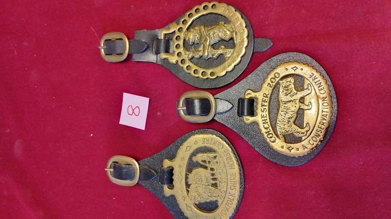 Town Horse Brasses