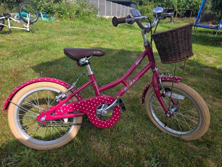 Pendleton Ashbury Kids Bike - 16" Wheel