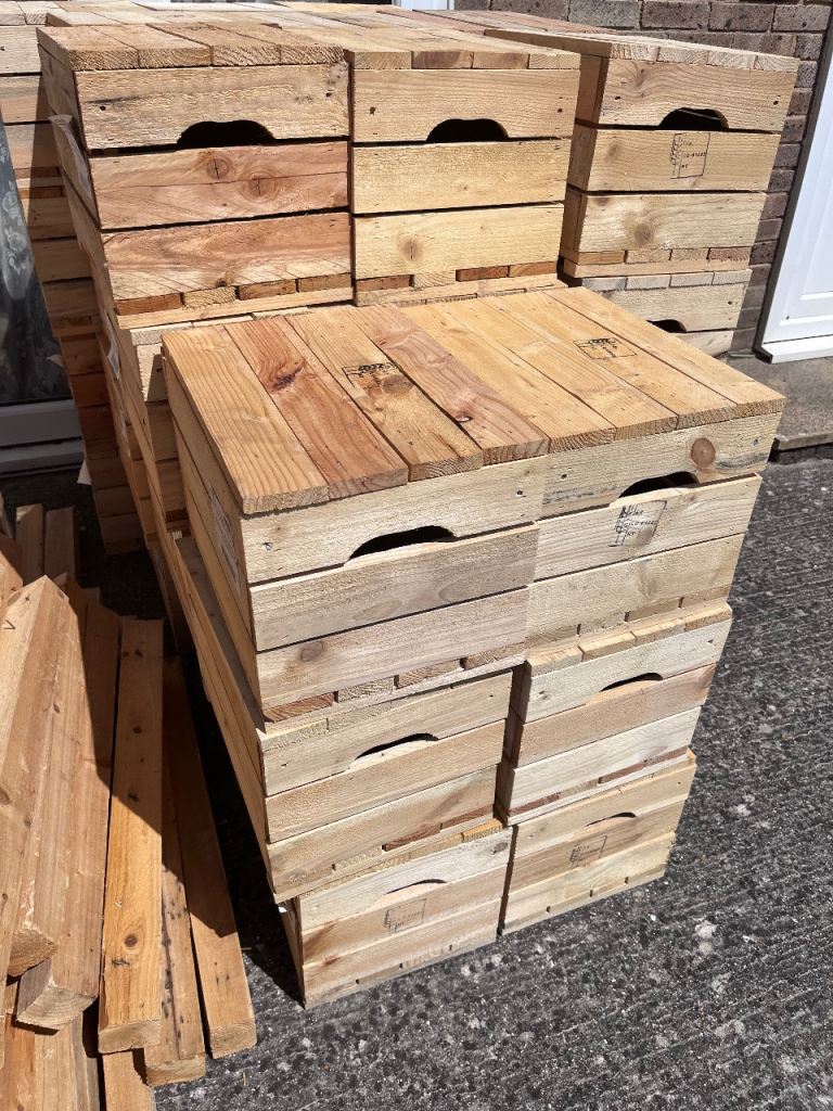 Wooden boxes with lid x 10