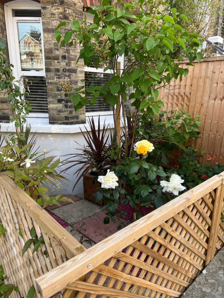 CRYSTAL PALACE FOR 2/3 BEDROOM HOUSE MOST SOUTH EAST AREAS 