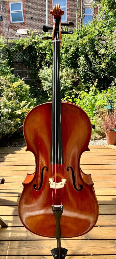 Eastman Master Series Stradivari Cello Outfit