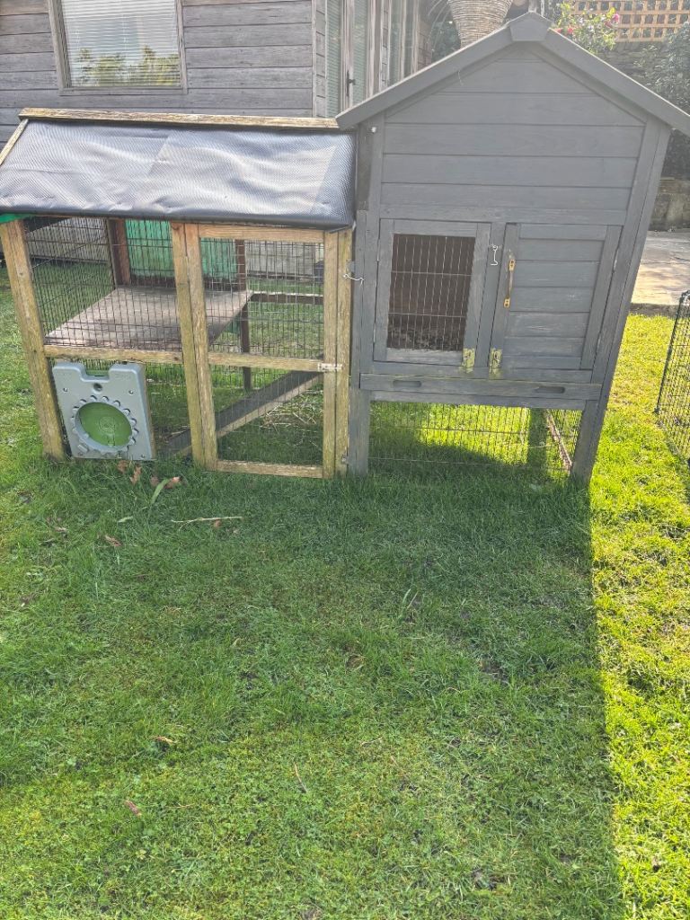 Large rabbit hutch, two levels