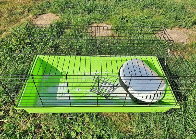 Free bunny cage 