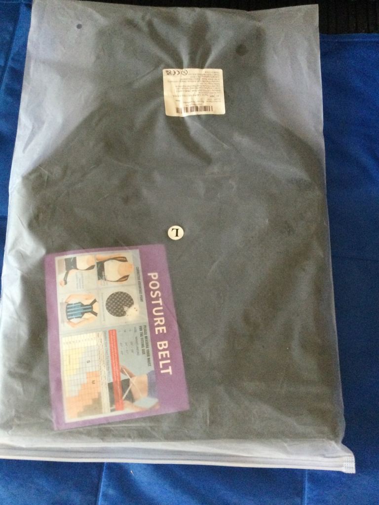 New Posture Belt Back Support - Size L