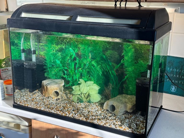 Complete Tropical Tank