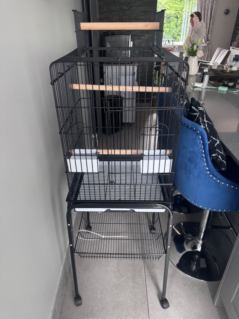 Only used to bring bird home