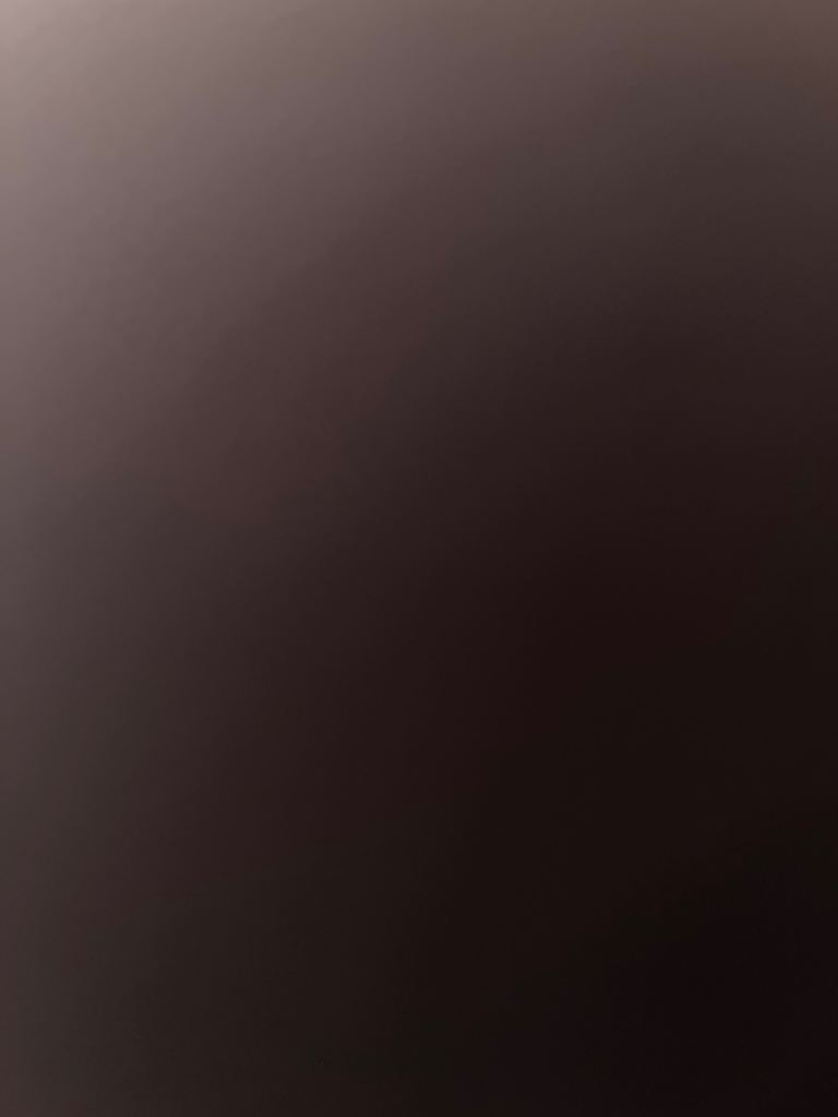 Bella 🐾/ tabby cat looking for forever home 