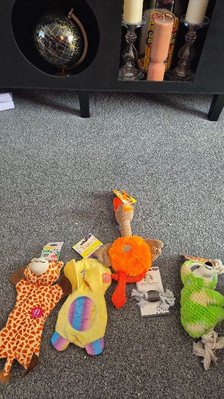 Dog toys