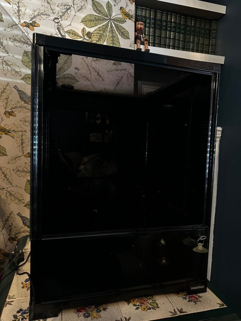 Everything you need to home a reptile/amphibian 