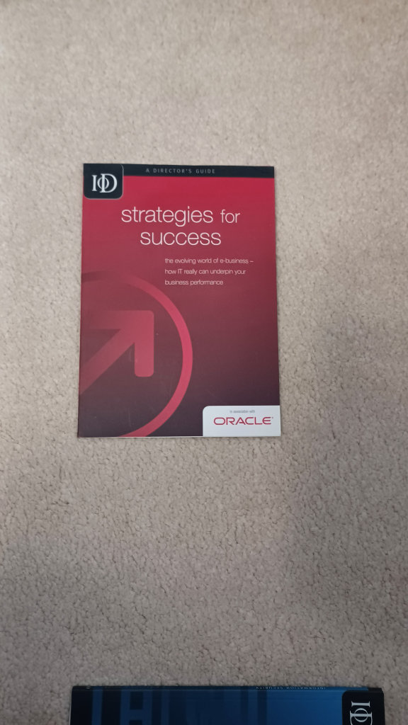 Institute Of Directors - A Director's Guide to Strategies for Success 2005