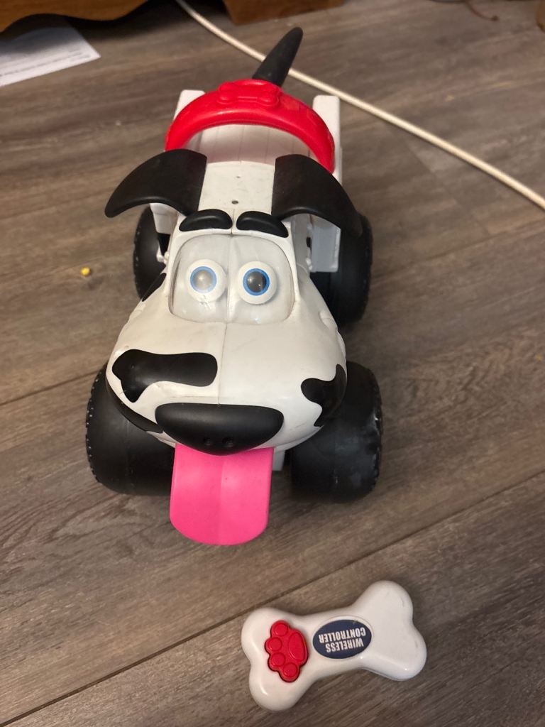 Street dog bumper dog