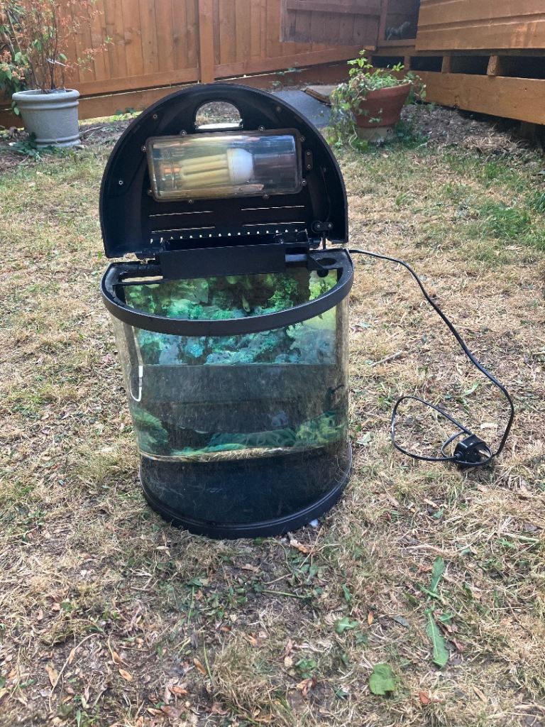 Fish Tank 