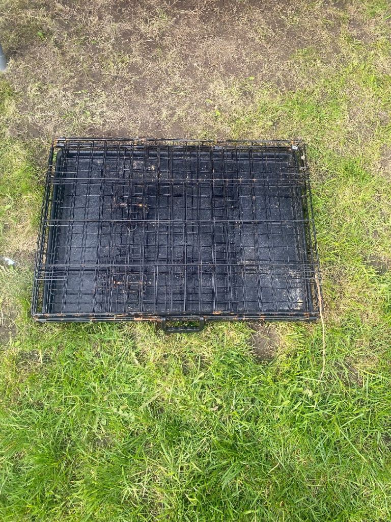 Medium dog crate