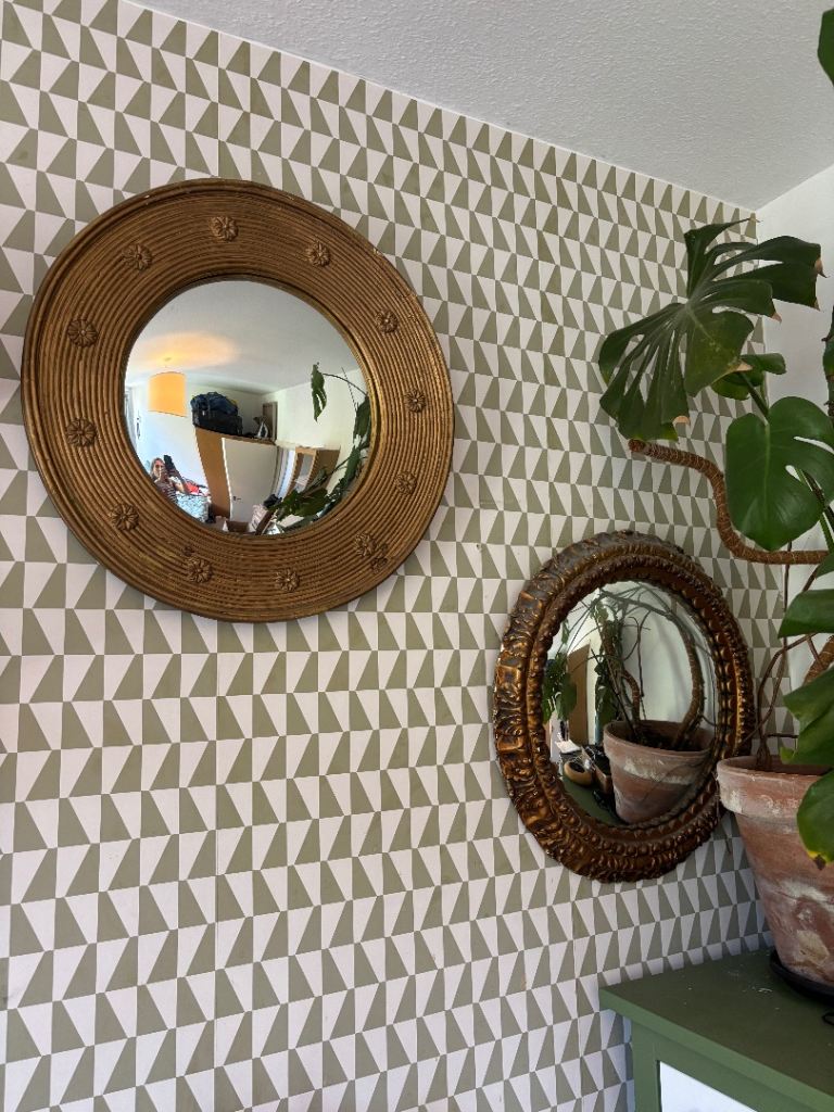 x2 fish eye round decorative mirrors 