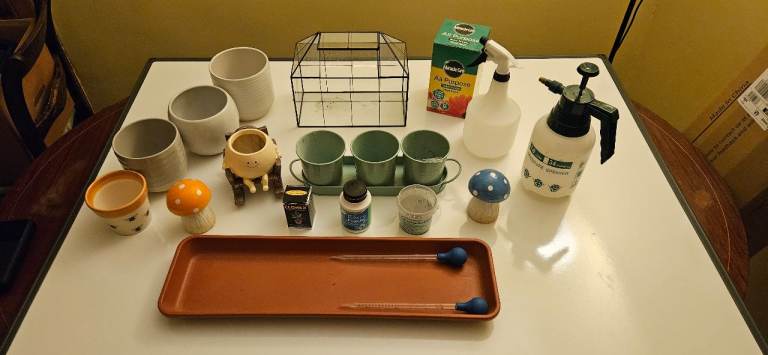 Plant Pots and Accessories