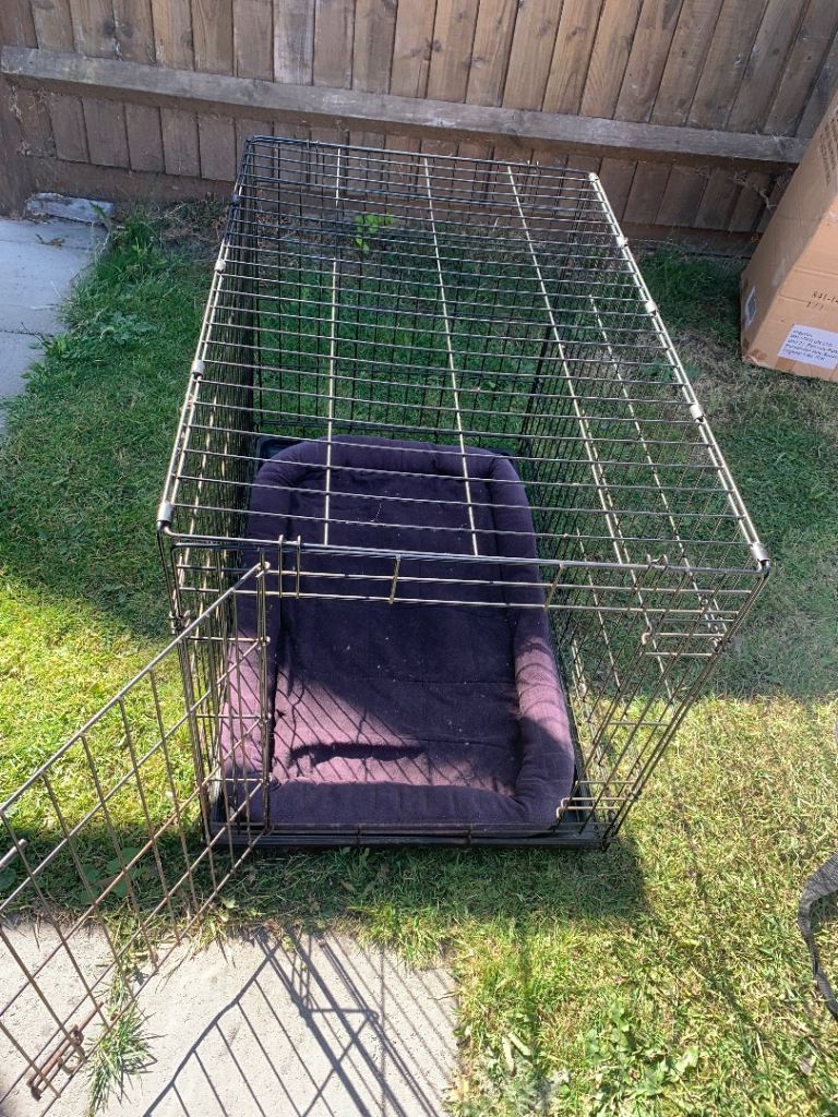 Dog crate 