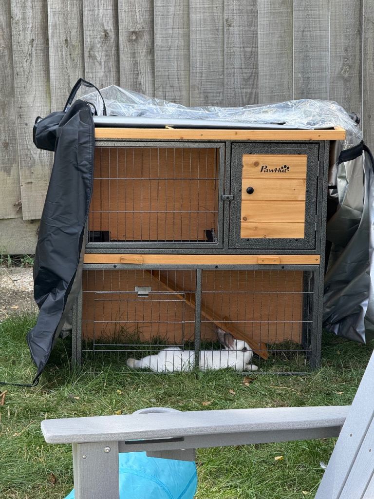 Bunny hutch