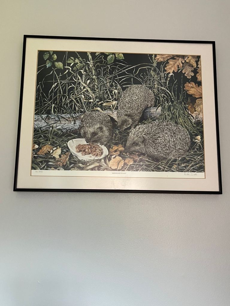 Lovely picture of a family of hedgehogs 