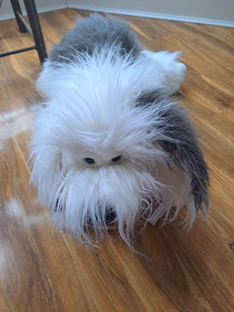 Soft dog