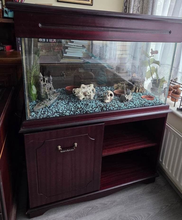 Preloved Aquarium and cabinet