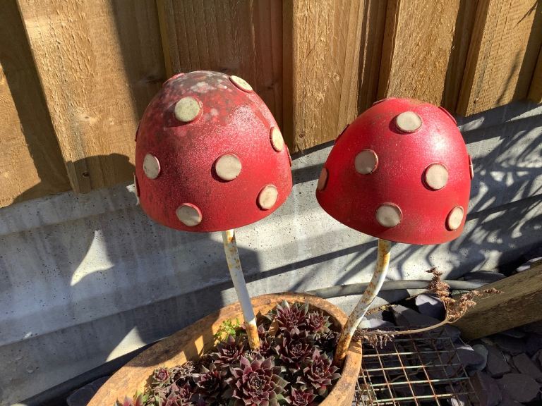 2 x vintage mushrooms