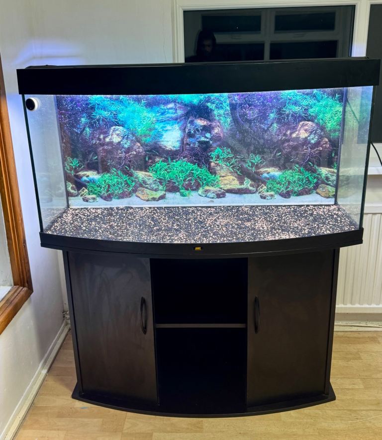 Fish tank with cabinet juwel 4 feet 