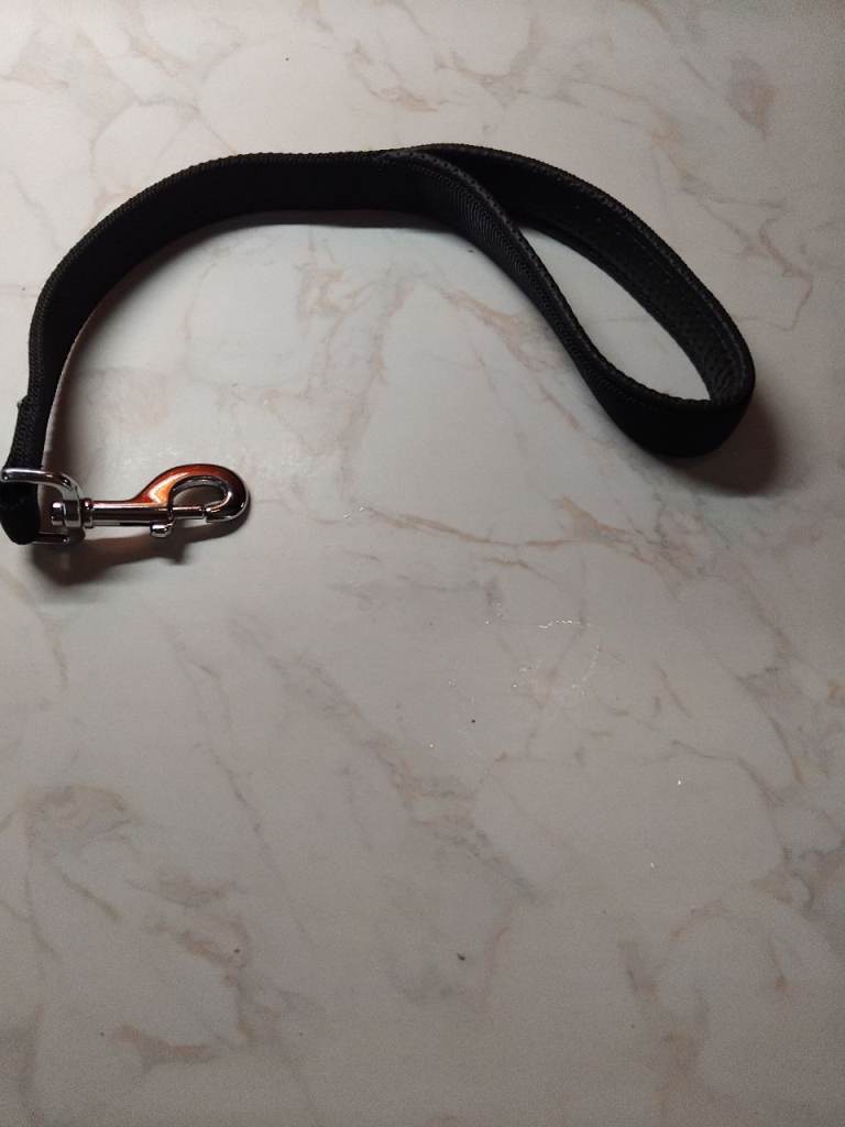 Dog lead  