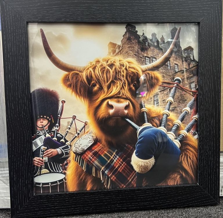 Framed Highland cow picture bag pipe image with black frame NEW