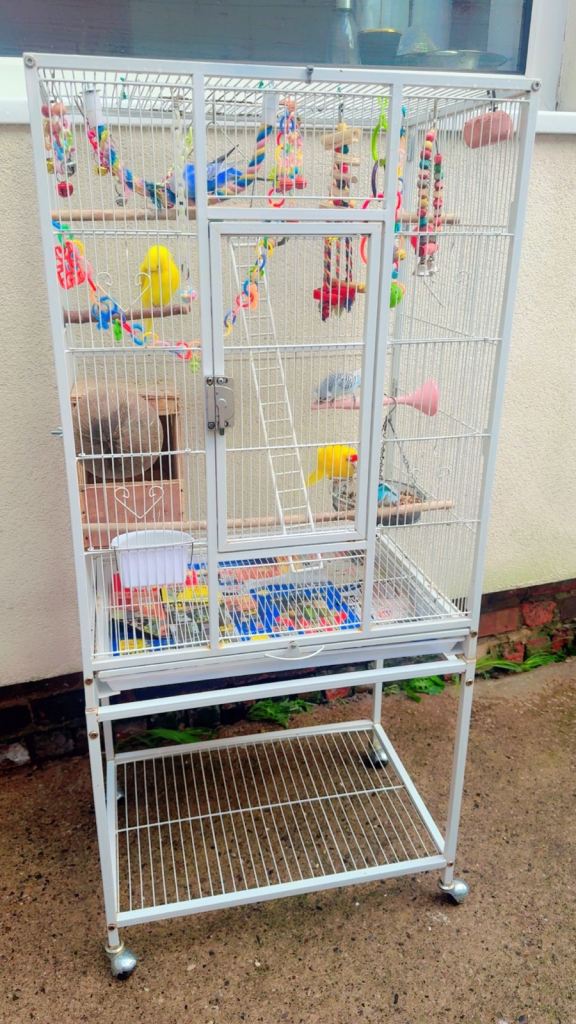 Cage and birds 