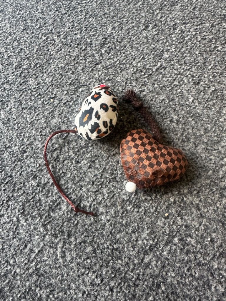 Kitten toys