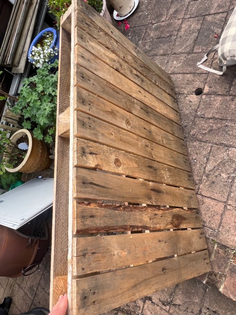 STD pallets x2 100x120