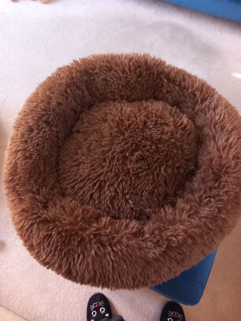 Round Calming Dog Bed