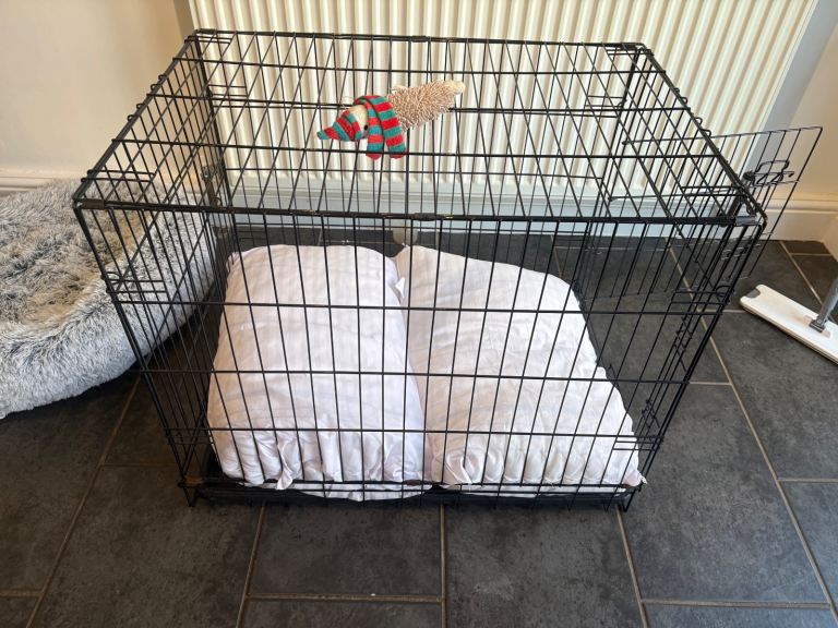 Dog cage for sale