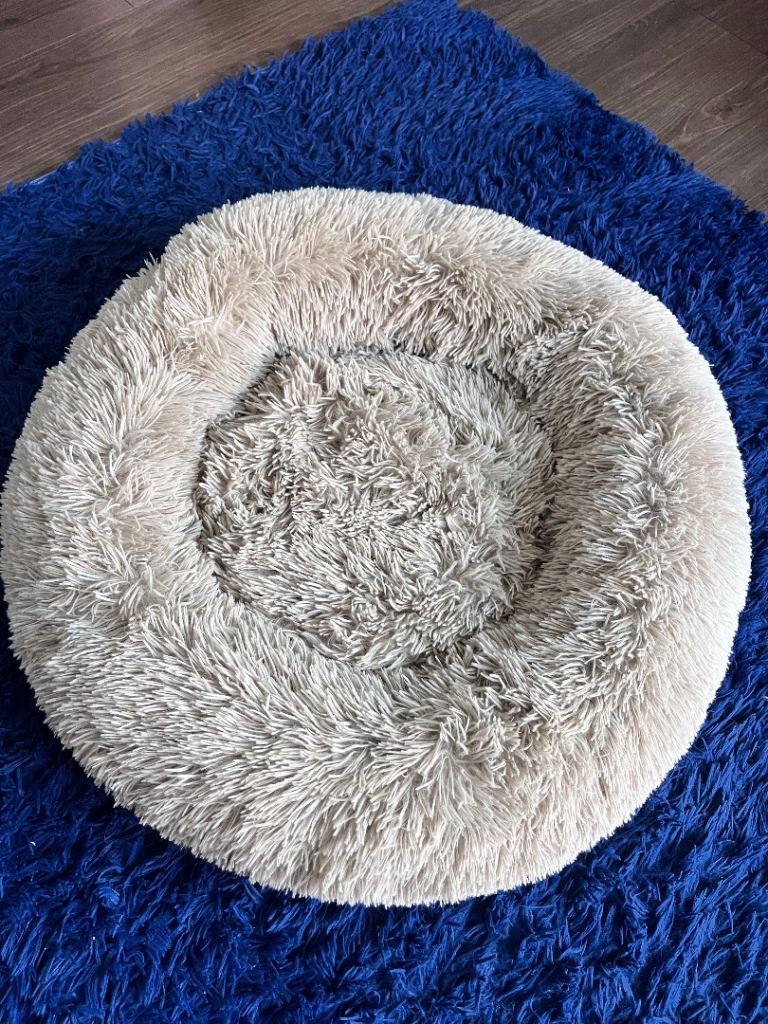 Dog Bed 