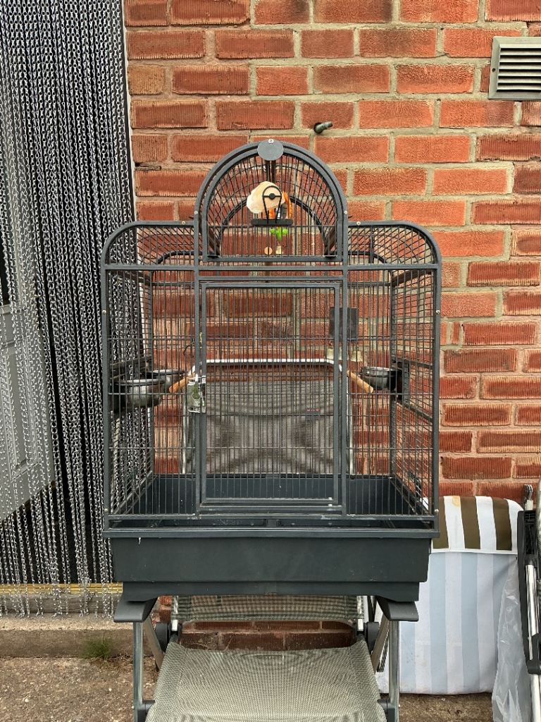 Montana Bird Cage