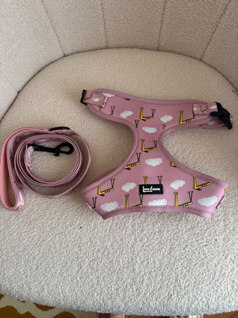 Dog harness and lead 